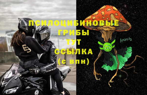 соль курить ск Новозыбков