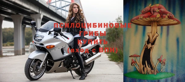 экстази Новодвинск