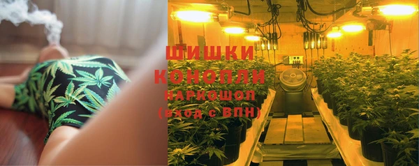соль курить ск Новозыбков