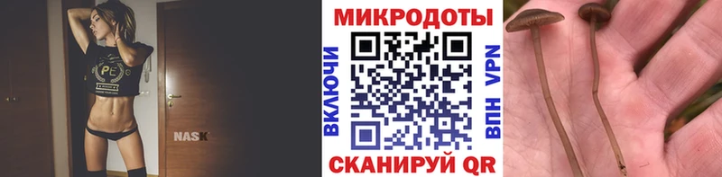 Псилоцибиновые грибы Psilocybine cubensis  маркетплейс формула  Сертолово  купить наркотики сайты 